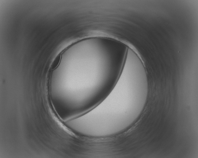 X0000081491142200701121105