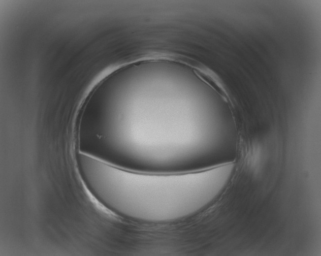 X0000081491143200701121105