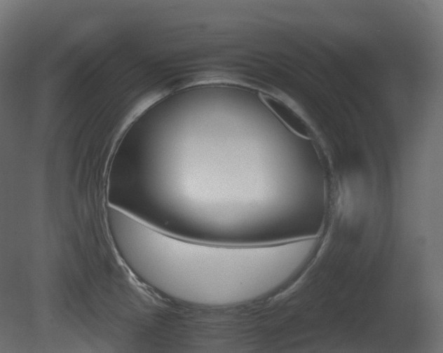 X0000081491145200701121105