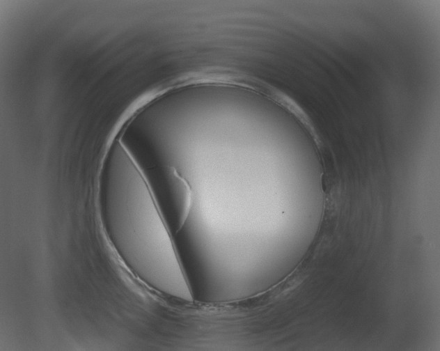 X0000081491146200701121105