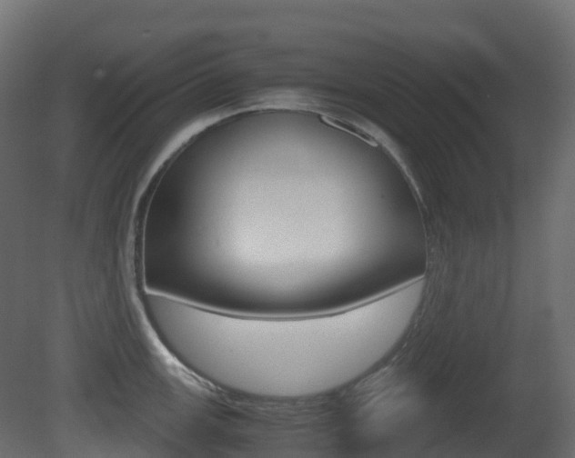 X0000081491147200701121105