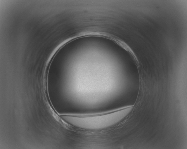 X0000081491148200701121105