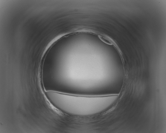 X0000081491149200701121105