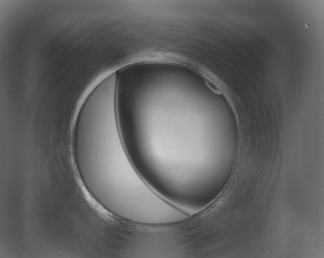 X0000081491152200701121105