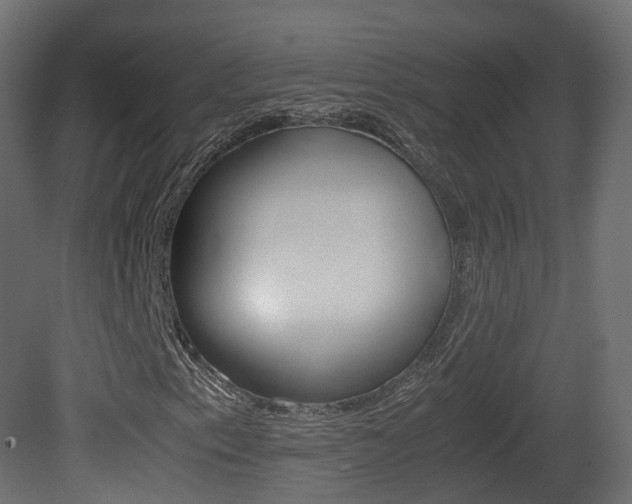 X0000081491153200701121105