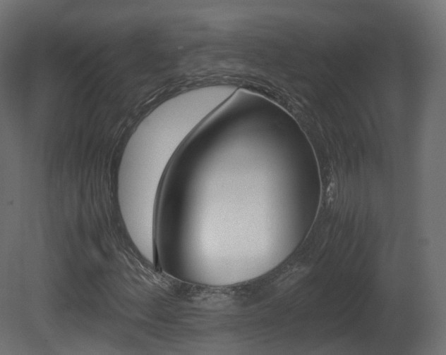 X0000081491156200701121105
