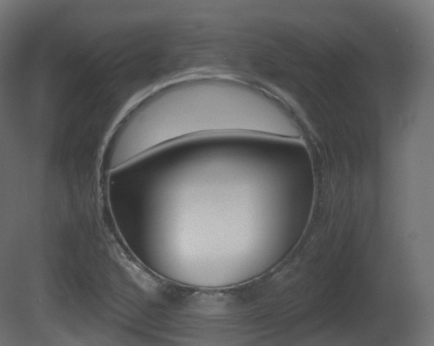 X0000081491168200701121104