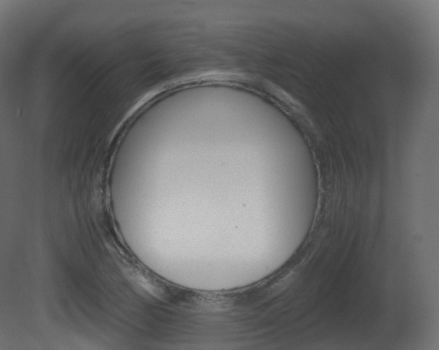 X0000081491170200701121104