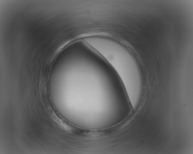 X0000081491177200701121104
