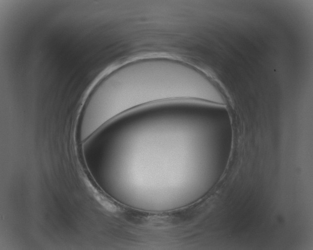 X0000081491181200701121104