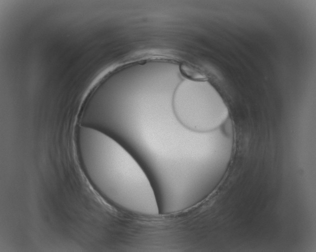 X0000081491182200701121104