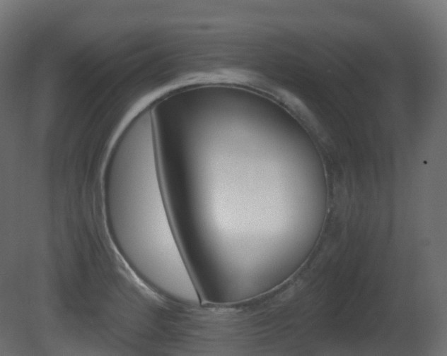 X0000081491184200701121104