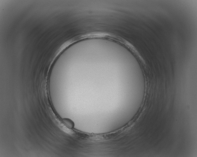 X0000081491186200701121104