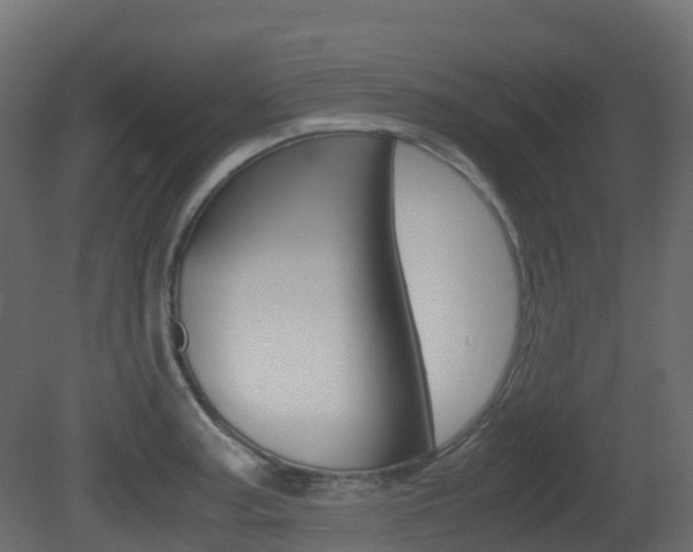 X0000081491187200701121104