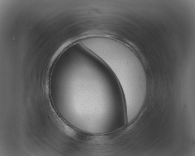 X0000081491188200701121104