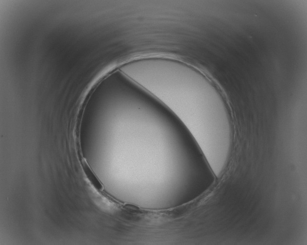 X0000081491189200701121104
