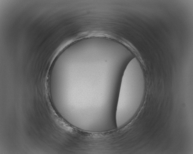 X0000081491190200701121104