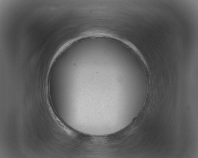X0000081491191200701121104