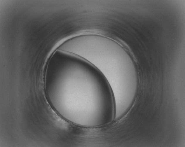 X0000081491192200701121104