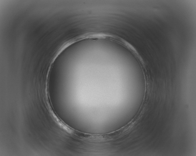 X0000081491194200701121104