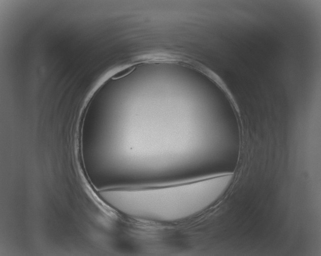 X0000081491195200701121104