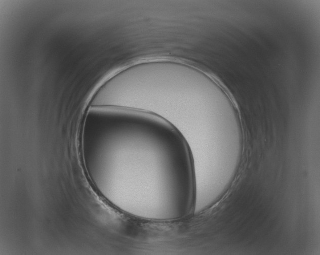 X0000081491197200701121104