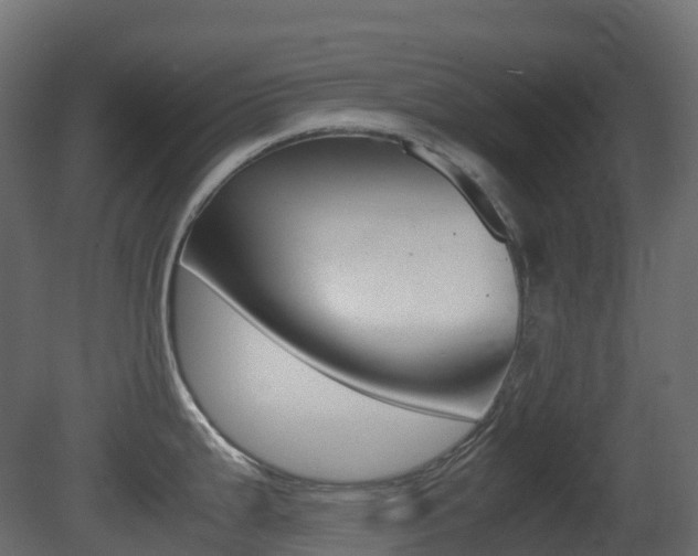 X0000081491199200701121104