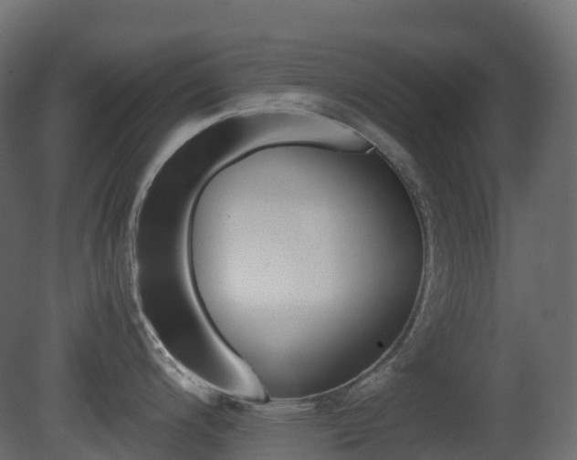 X0000081491200200701121104