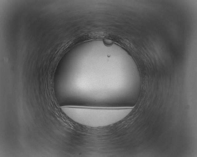 X0000081491201200701121103