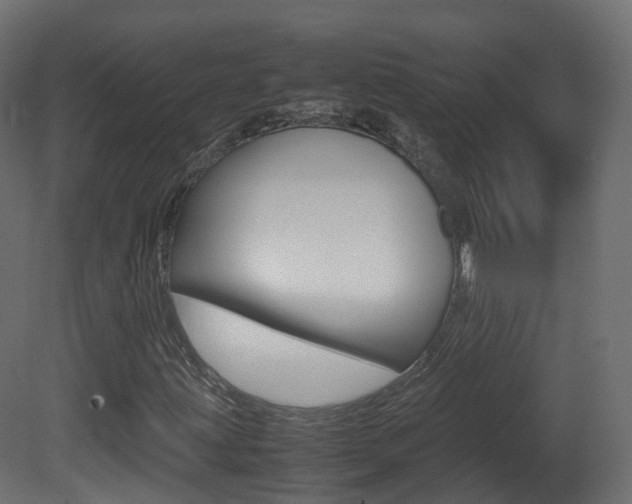 X0000081491203200701121103