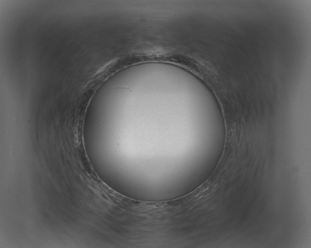 X0000081491205200701121103