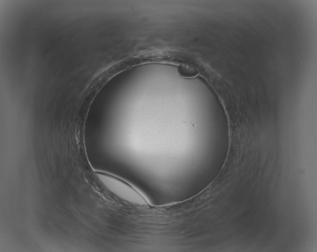 X0000081491206200701121103