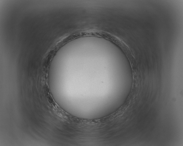 X0000081491207200701121103