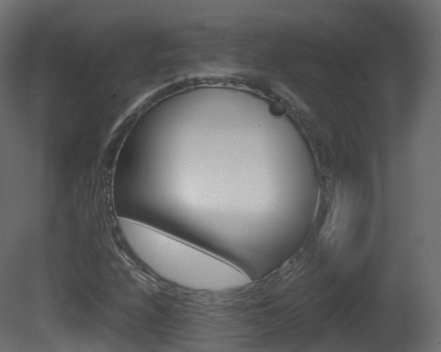 X0000081491208200701121103