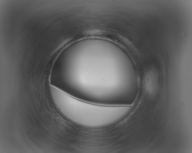 X0000081491209200701121103