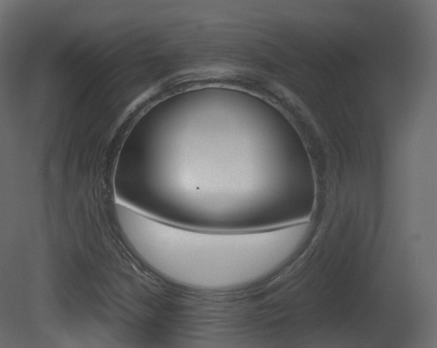 X0000081491210200701121103