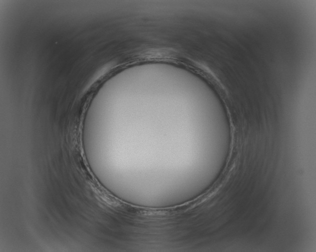 X0000081491211200701121103