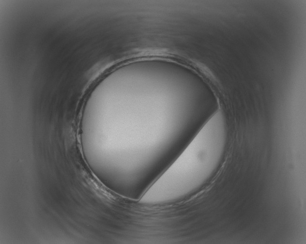 X0000081491212200701121103