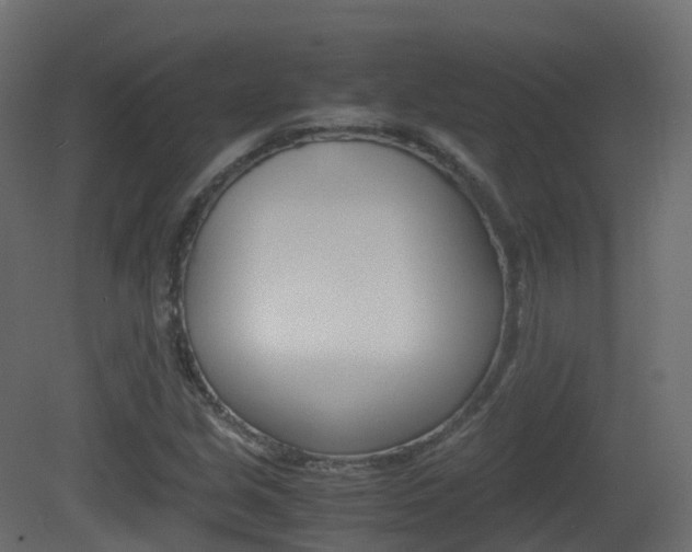 X0000081491213200701121103