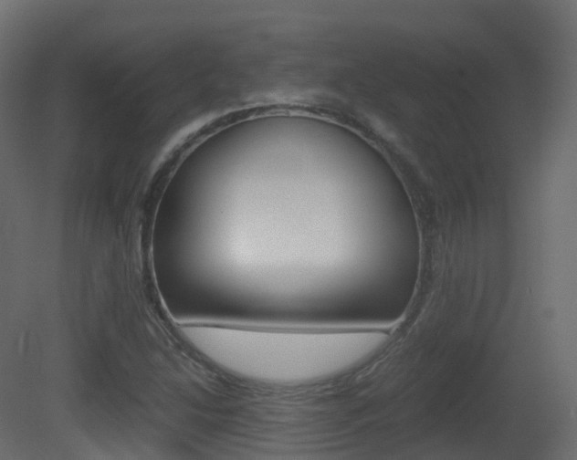 X0000081491214200701121103