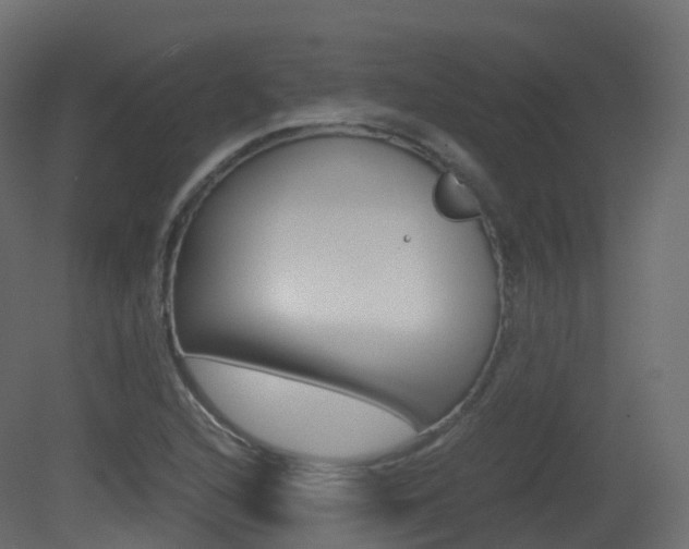 X0000081491216200701121103