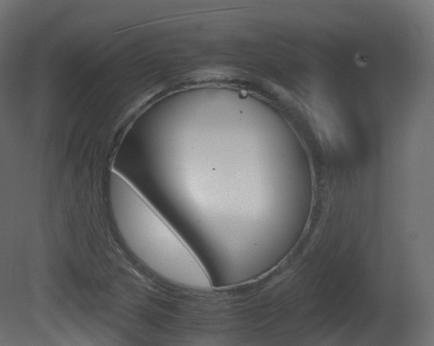 X0000081491217200701121103