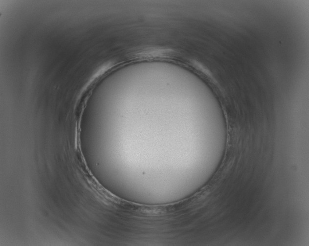 X0000081491219200701121103