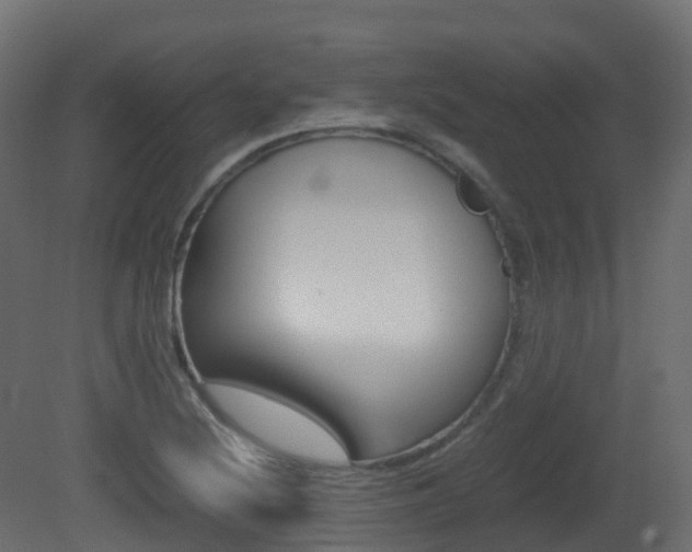 X0000081491220200701121103