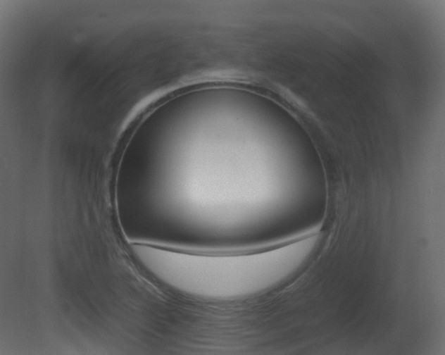 X0000081491222200701121103