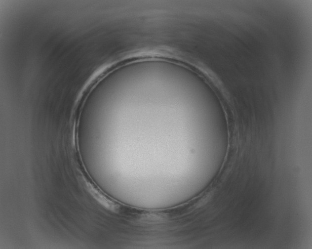 X0000081491224200701121103