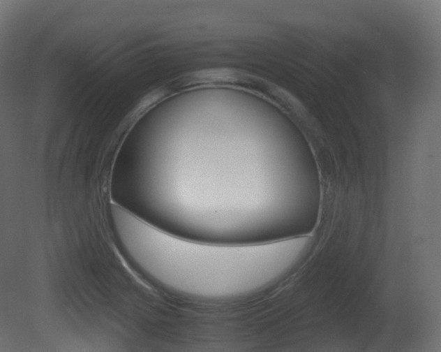 X0000081491225200701121103