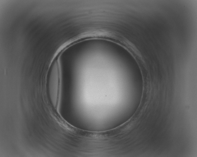 X0000081491226200701121103