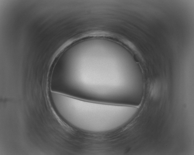 X0000081491229200701121103