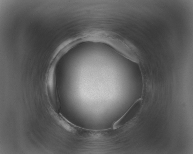 X0000081491230200701121103